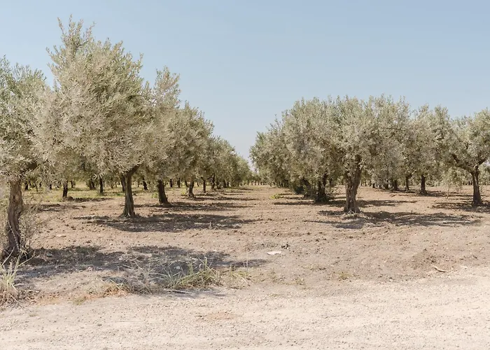 Casa de Férias Casa Iris